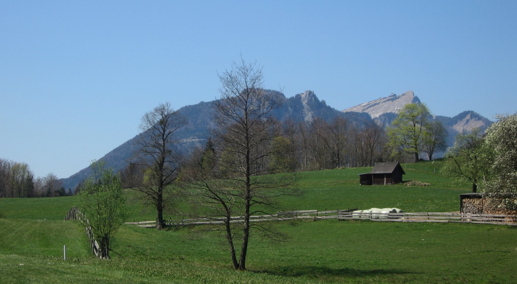 Property in 0000 Österreich: For own hunts in Austria, please contact us directly for reasons of discretion! - picture 1