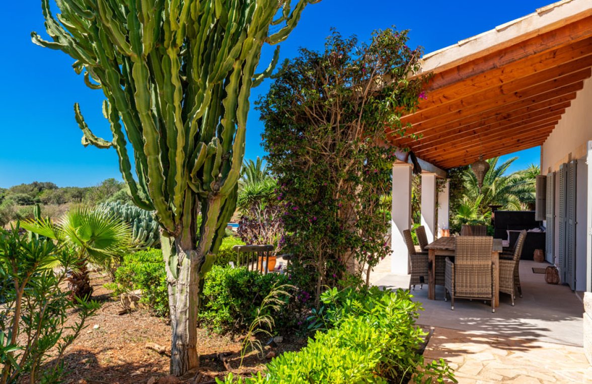 Property in 07650 Spanien - Santanyí: Charming country house with holiday rental licence near Santanyí - picture 9