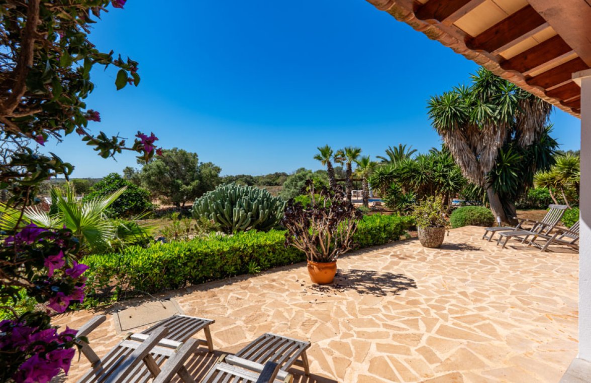 Property in 07650 Spanien - Santanyí: Charming country house with holiday rental licence near Santanyí - picture 8