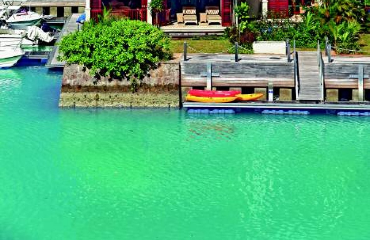 PRIVATINSEL EDEN ISLAND SEYCHELLES: Townhouse mit ...