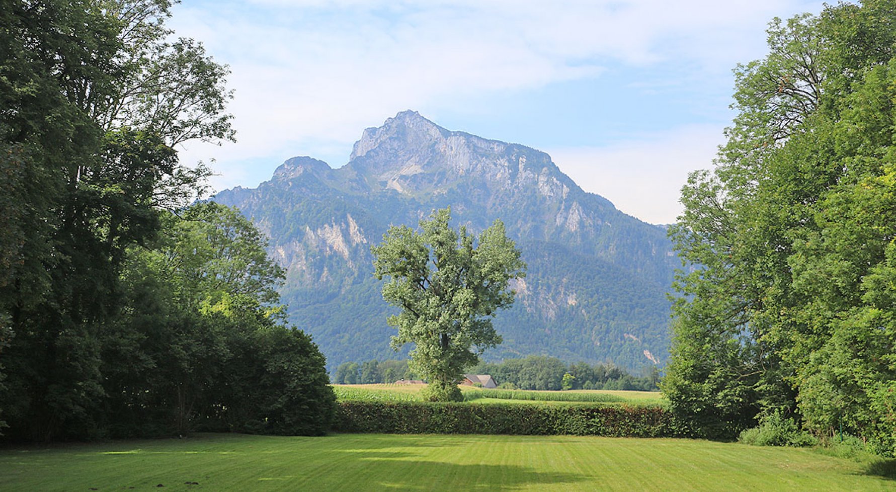 Immobilie in 5020 Salzburg - Anif: Absolute Alleinlage - Historische Villa auf 3,1 ha eingezäuntem Parkgrund - bild 1