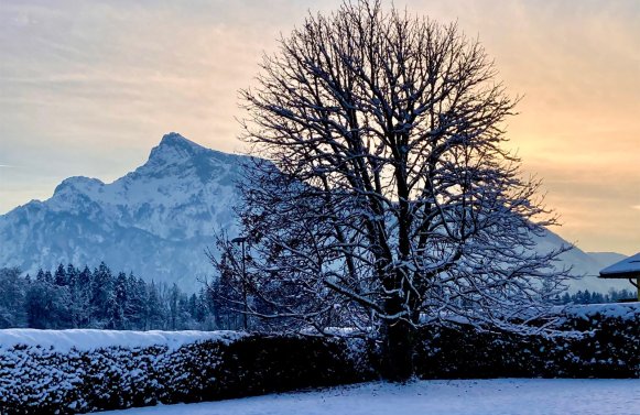 Property in 5020 Salzburg - Morzg: Salzburg's prime location in Morzg! 2,850 m² sunny plot with existing villa