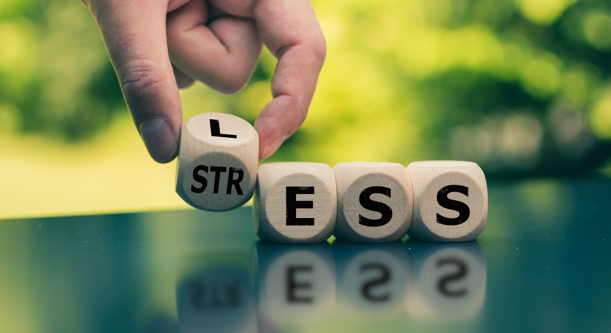 ...mit uns zum neuen Zuhause!