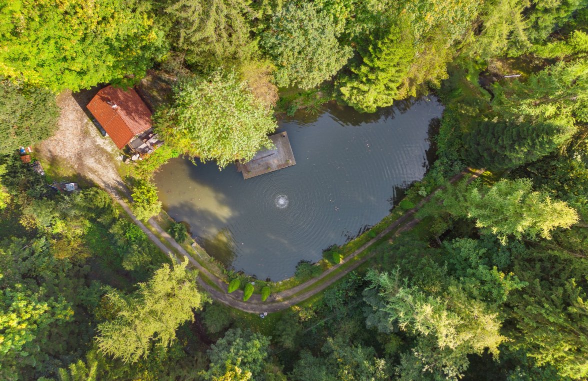 Immobilie in 4743 Ried im Innkreis - Peterskirchen: Petri Heil - Fischerparadies! Fischteiche mit romantischer Hütte und Steg - bild 4