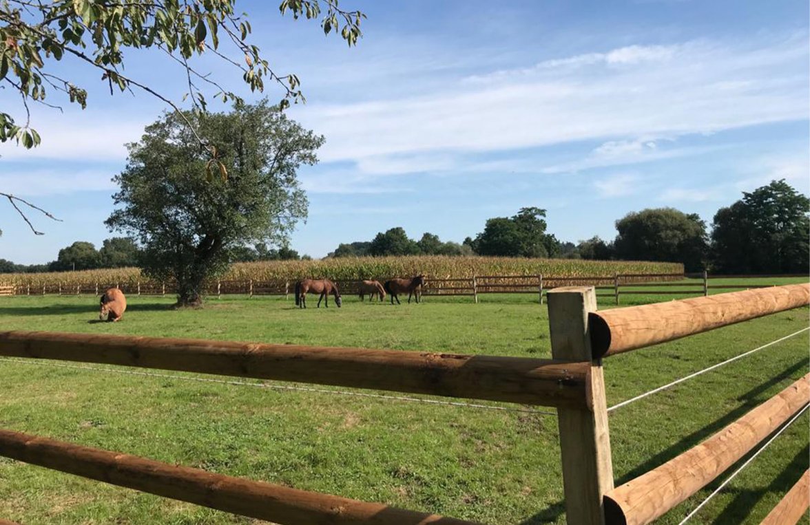 Property in 5274 Oberösterreich - Innviertel: Unique farmhouse for horse lovers with 4 paddock boxes - picture 8
