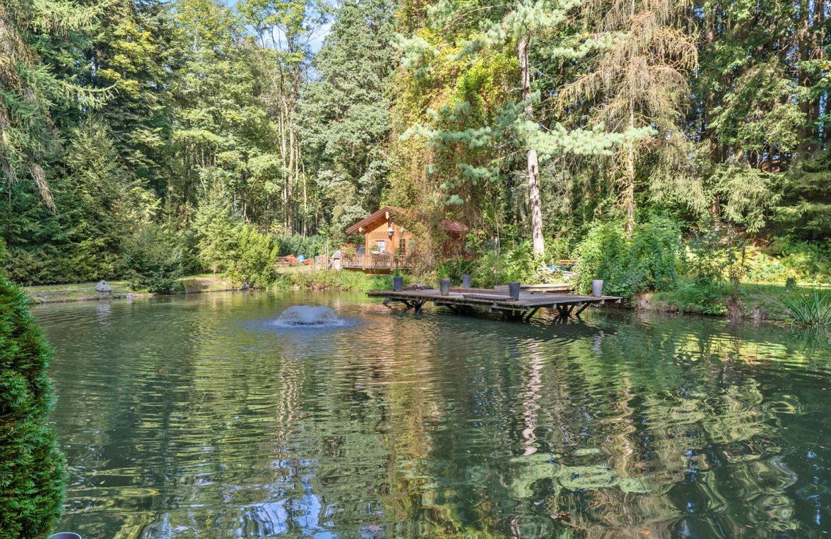 Immobilie in 4743 Ried im Innkreis - Peterskirchen: Petri Heil - Fischerparadies! Fischteiche mit romantischer Hütte und Steg - bild 2