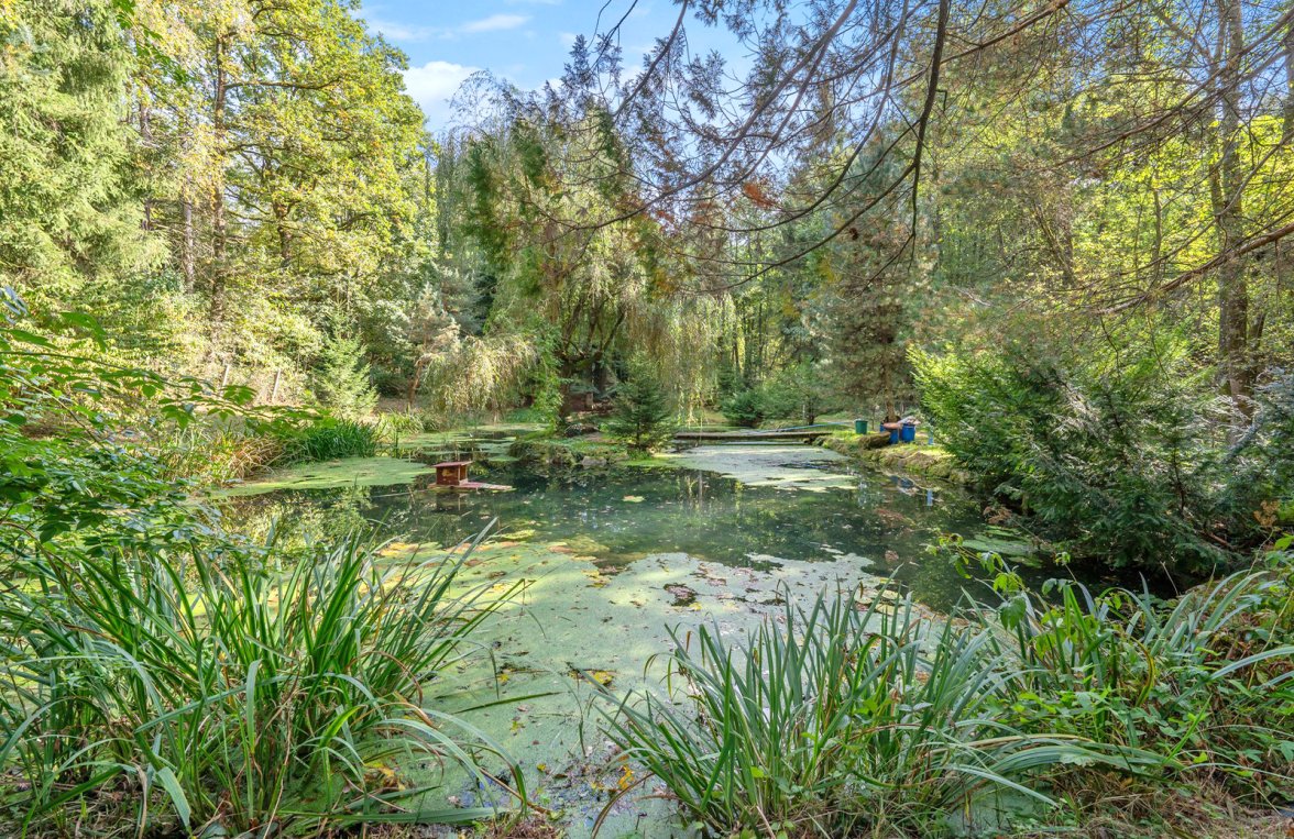Immobilie in 4743 Ried im Innkreis - Peterskirchen: Petri Heil - Fischerparadies! Fischteiche mit romantischer Hütte und Steg - bild 5