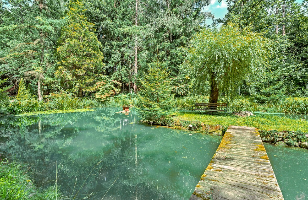 Immobilie in 4743 Ried im Innkreis - Peterskirchen: Petri Heil - Fischerparadies! Fischteiche mit romantischer Hütte und Steg - bild 3