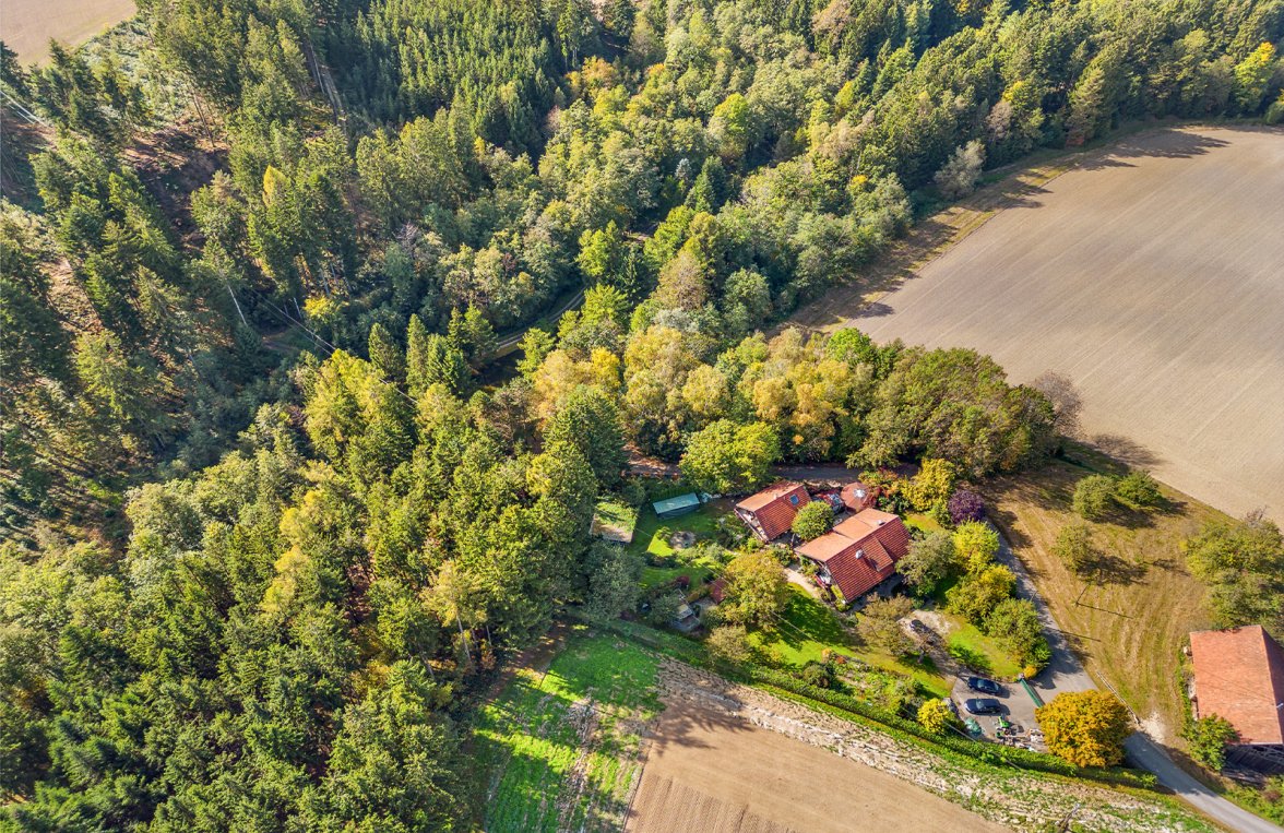 Immobilie in 4743 Innviertler Hügelland: NATURSCHÖNHEIT! Bauernsacherl mit großzügiger Teichlandschaft - bild 8