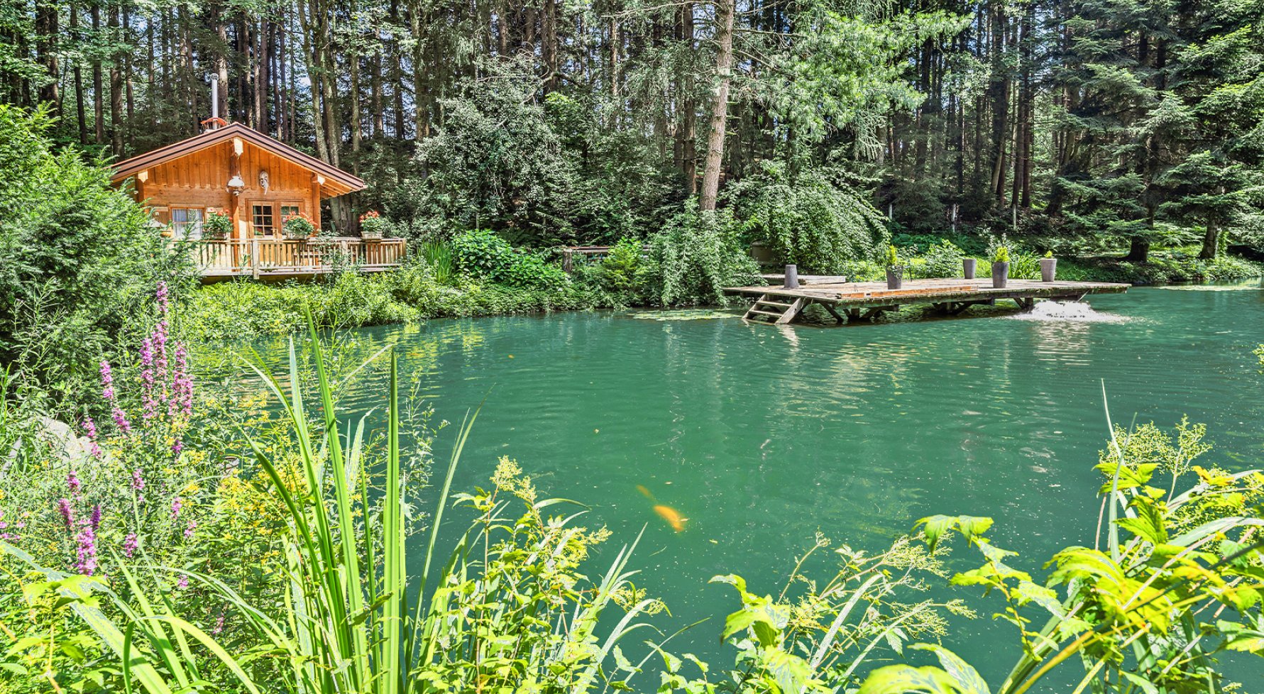 Property in 4743 Innviertler Hügelland: THE FISHERMAN'S DREAM... Charming hideaway with spacious pond... - picture 1