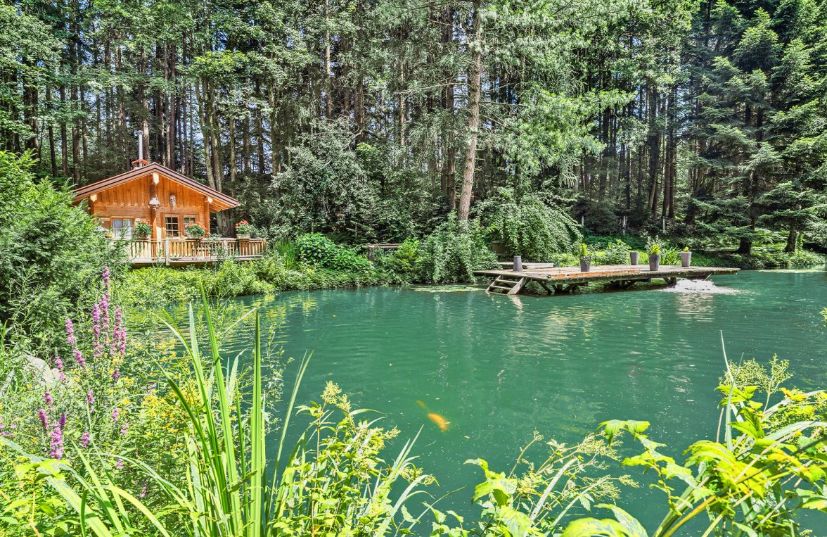 Immobilie in 4743 Ried im Innkreis - Peterskirchen: Petri Heil - Fischerparadies! Fischteiche mit romantischer Hütte und Steg - bild 1