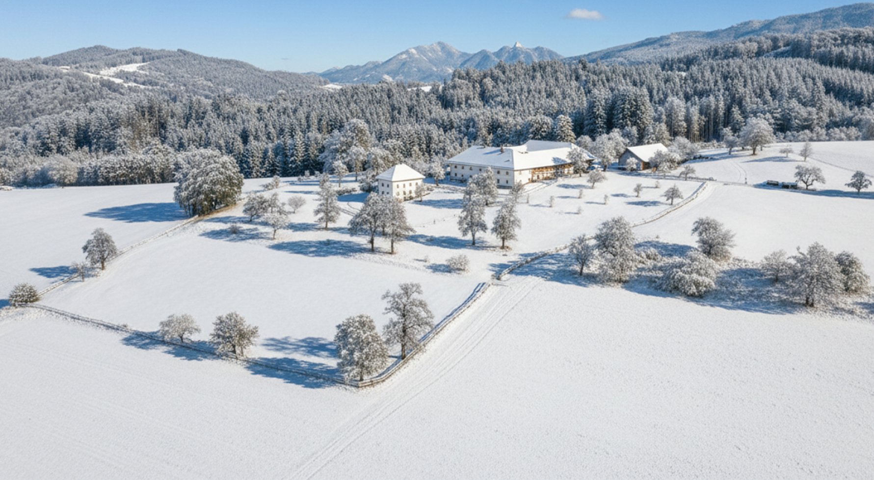 Immobilie in 4816 Salzkammergut - Nähe Gmunden : FÜR PFERDE-LIEBHABER! Traditioneller Vierkanthof mit 6 Boxen - bild 1