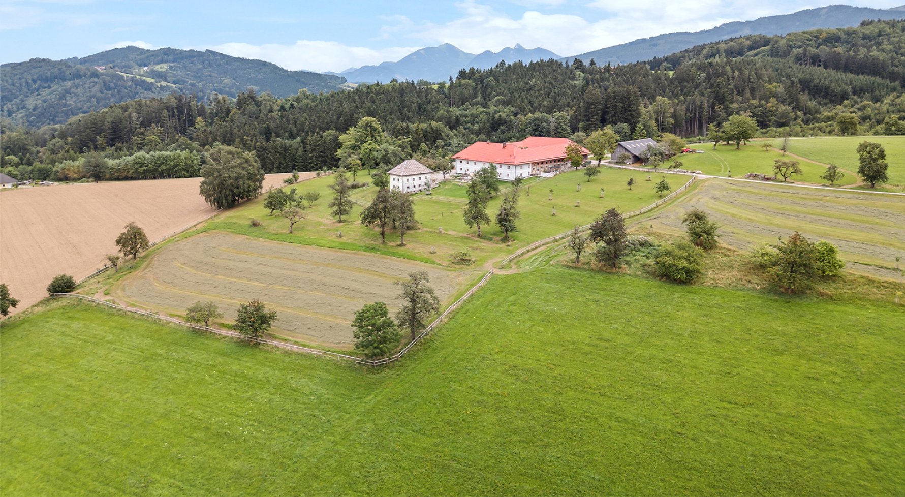 Property in 4816 Salzkammergut - Nähe Gmunden : FOR HORSE LOVERS! Traditional square farmstead with 6 stalls - picture 1