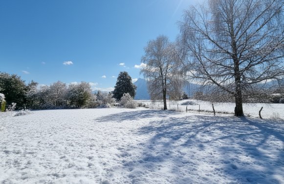 Property in 5020 Salzburg Stadt - Leopoldskron: Place with a view! Sunny building plot on the grassland belt in Leopoldskron