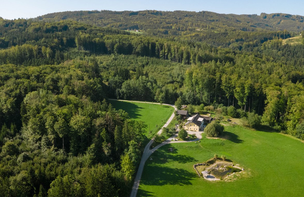 Immobilie in 4845 Salzkammergut - Nähe Gmunden : Reiterparadies mit Schwimmteich in der Nähe von Gmunden   - bild 1