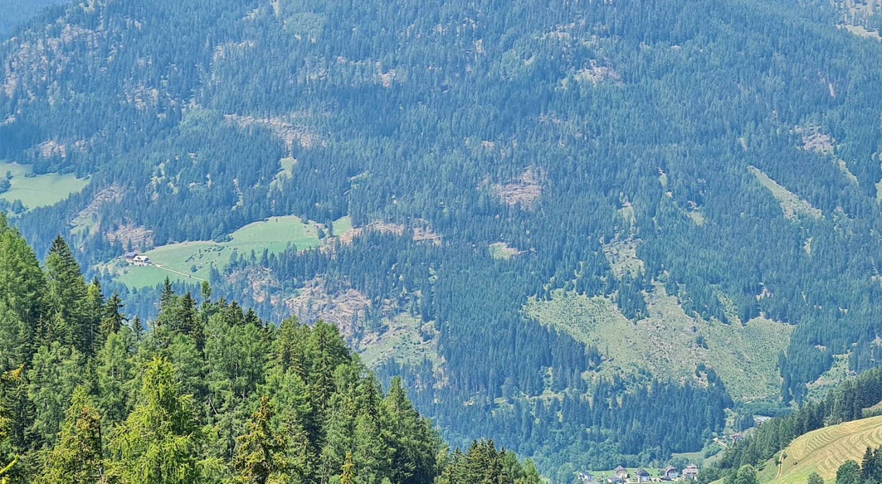 Immobilie in 9565 Kärnten - Ebene Reichenau: 223 ha Eigenjagd im Herzen Kärntens! Ebene Reichenau im UNESCO Gebiet Nockberge - bild 1