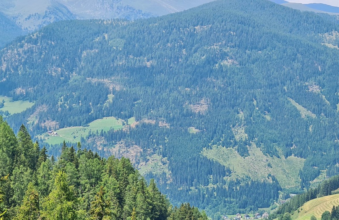 Immobilie in 9565 Kärnten - Ebene Reichenau: 223 ha Eigenjagd im Herzen Kärntens! Ebene Reichenau im UNESCO Gebiet Nockberge - bild 2