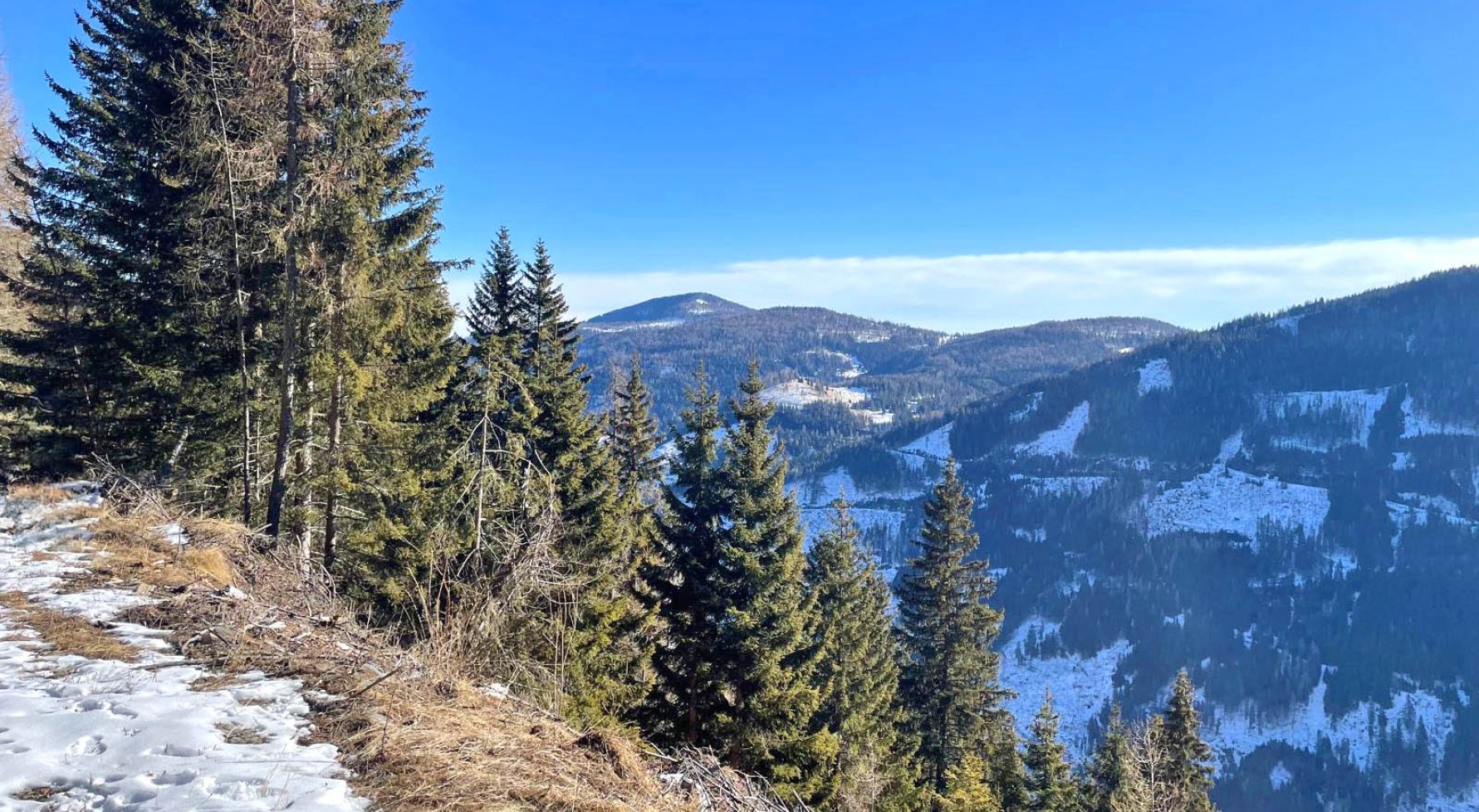 Property in 9565 Kärnten - Ebene Reichenau: 223 ha private hunt in the heart of Carinthia! Reichenau plain in the UNESCO area - picture 1