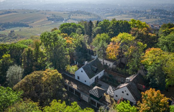 Immobilie in 1190 Wien, 19. Bezirk: Liebe zur Nostalgie: Historische Villa am Kahlenberg mit Blick über Wien