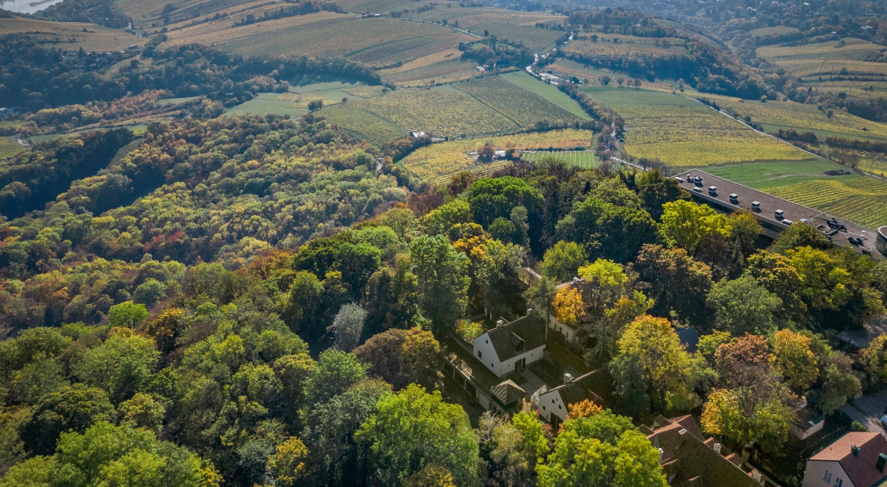Immobilie in 1190 Wien, 19. Bezirk: RARITÄT: Historische Villa am Kahlenberg mit Parkgrund - Blick über Wien - bild 1