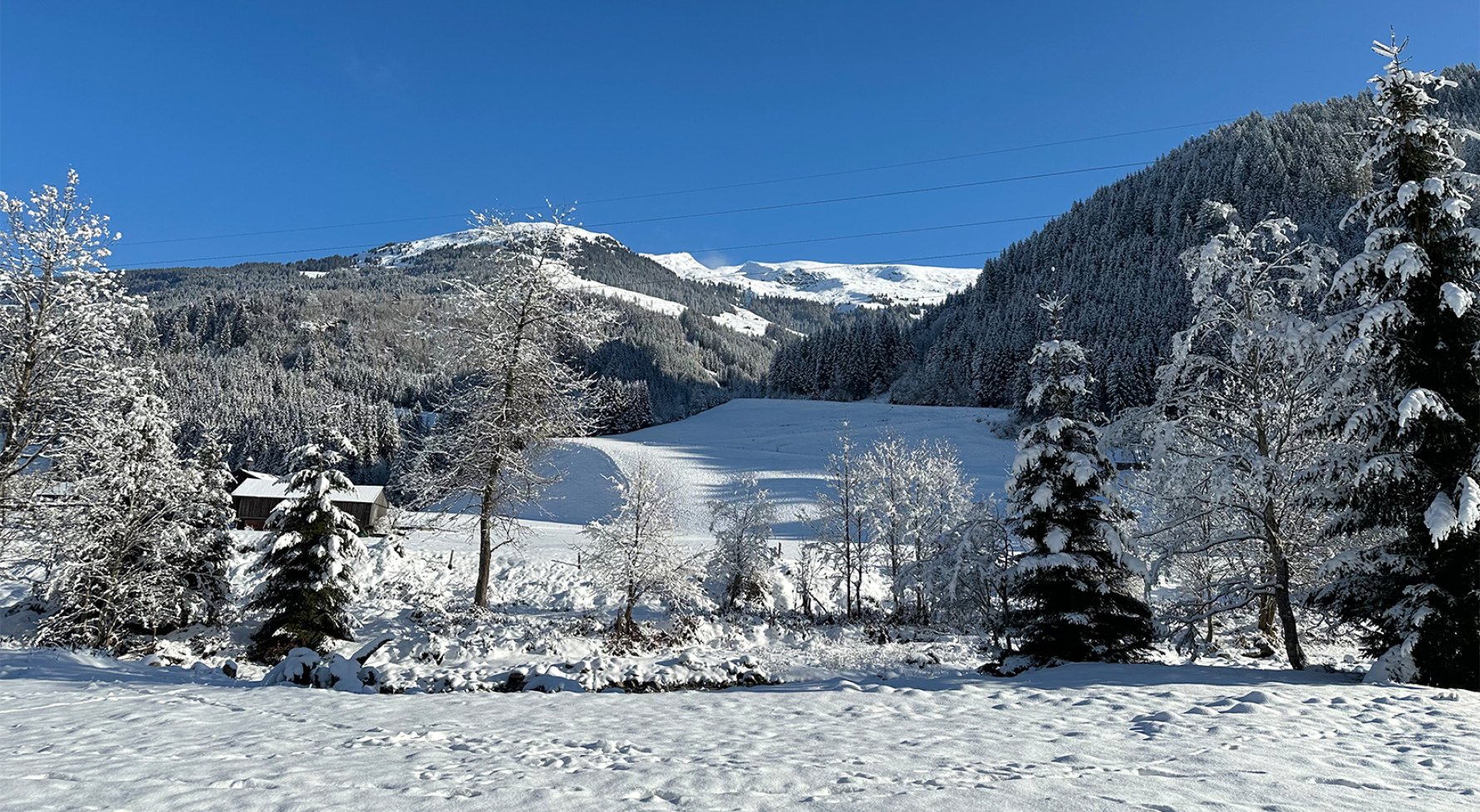 Property in 6373 Tirol - Kitzbüheler Alpen - Jochberg: Traditional farmhouse in a sunny dream location in Jochberg - picture 1