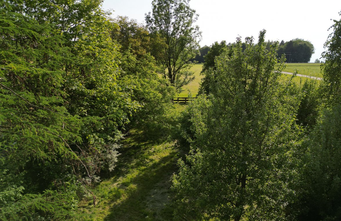 Immobilie in 5112 Salzburg - Lamprechtshausen: Sanierungsbedürftiges Haus mit viel Potential Nähe Lamprechtshausen - bild 3