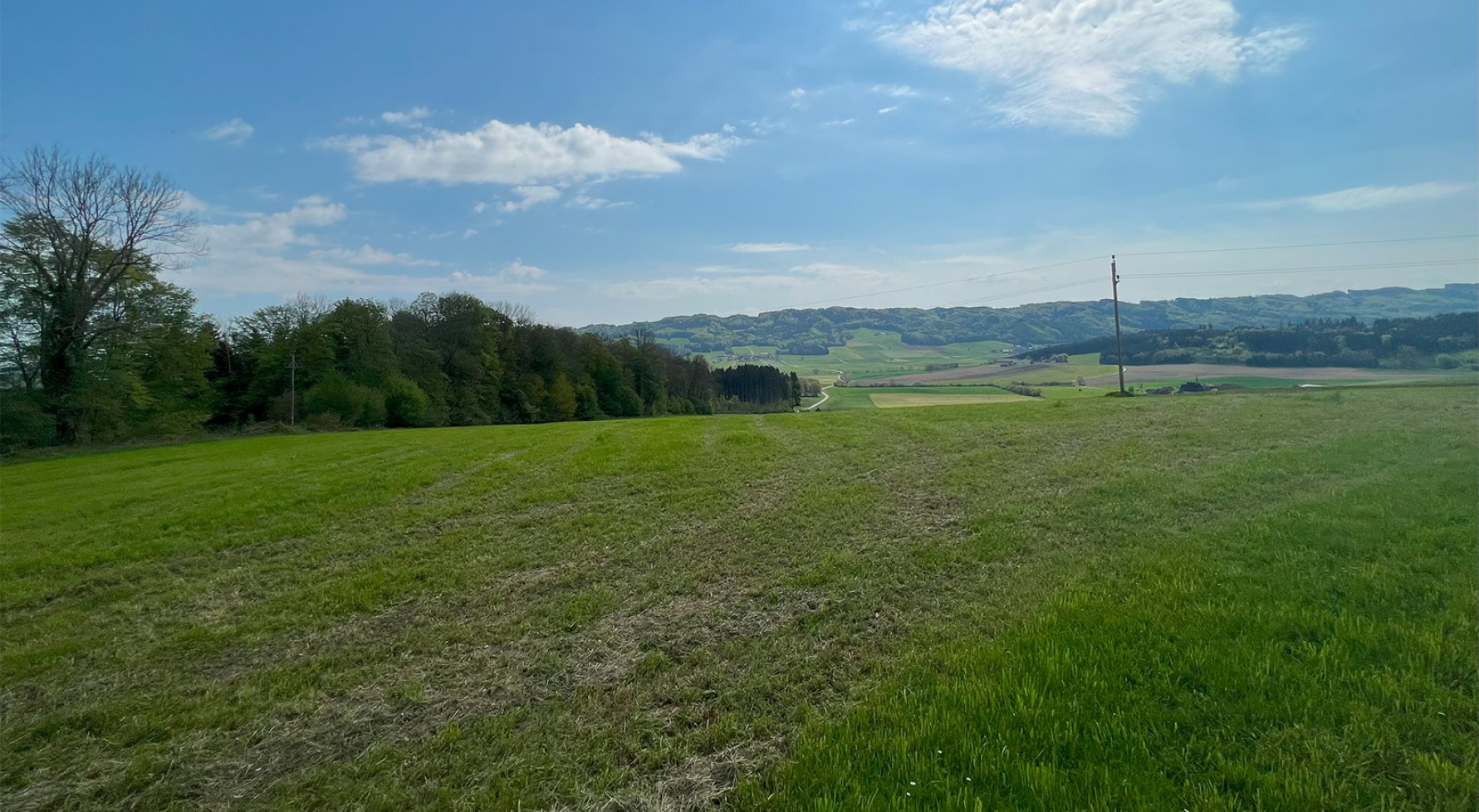 Immobilie in 5112 Salzburg - Lamprechtshausen: Sanierungsbedürftiges Haus mit viel Potential Nähe Lamprechtshausen - bild 1