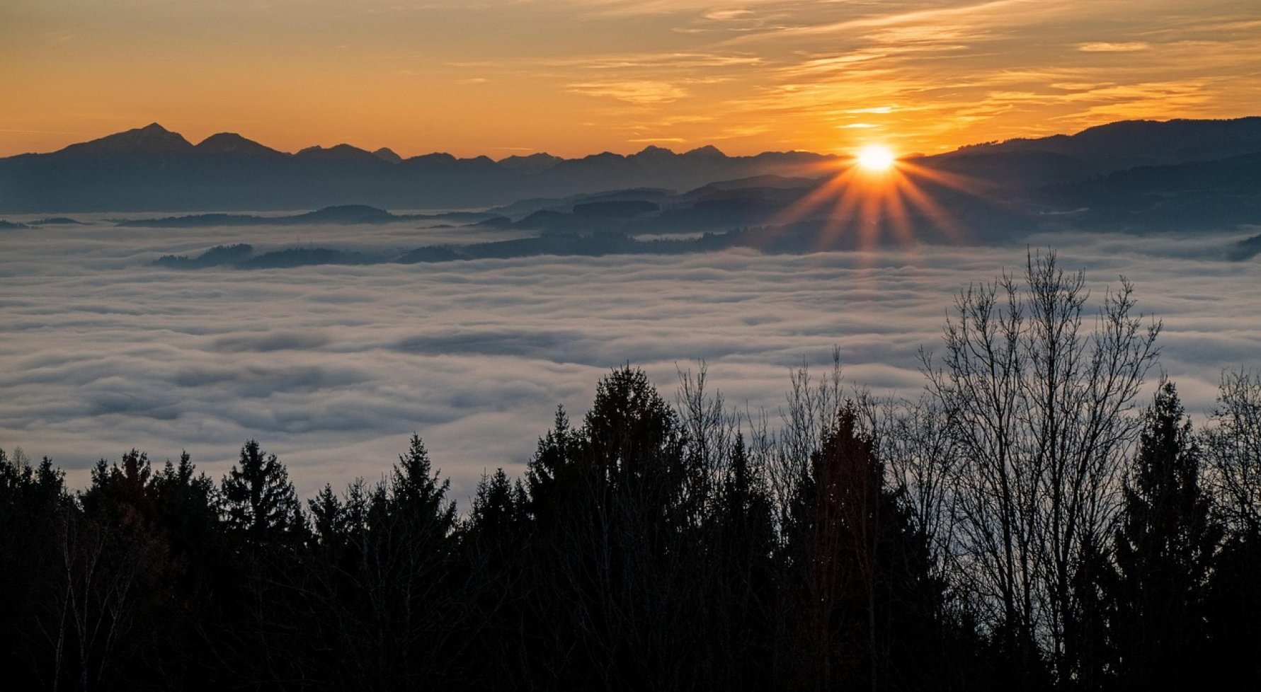 Property in 9431 Kärnten - zwischen der Koralpe und der Pack: Secluded location! Hunting lodge at 1,350 m above sea level - picture 1