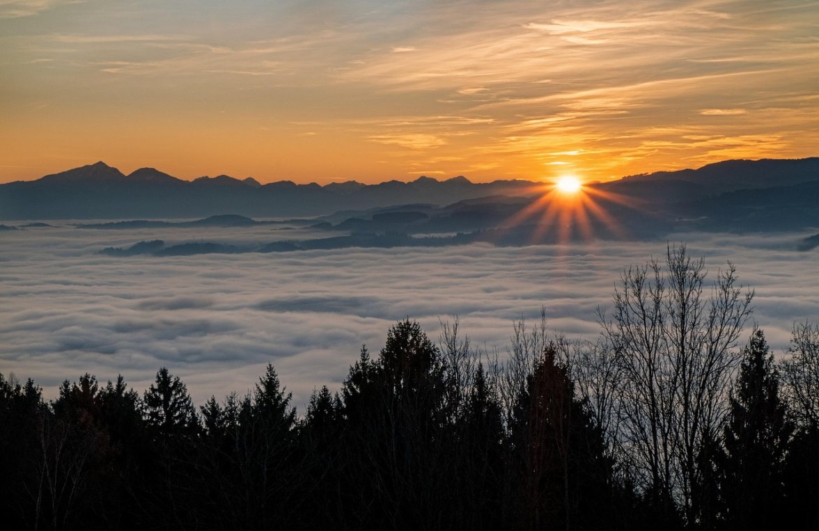 Property in 9431 Kärnten - zwischen der Koralpe und der Pack: Secluded location! Hunting lodge at 1,350 m above sea level - picture 1