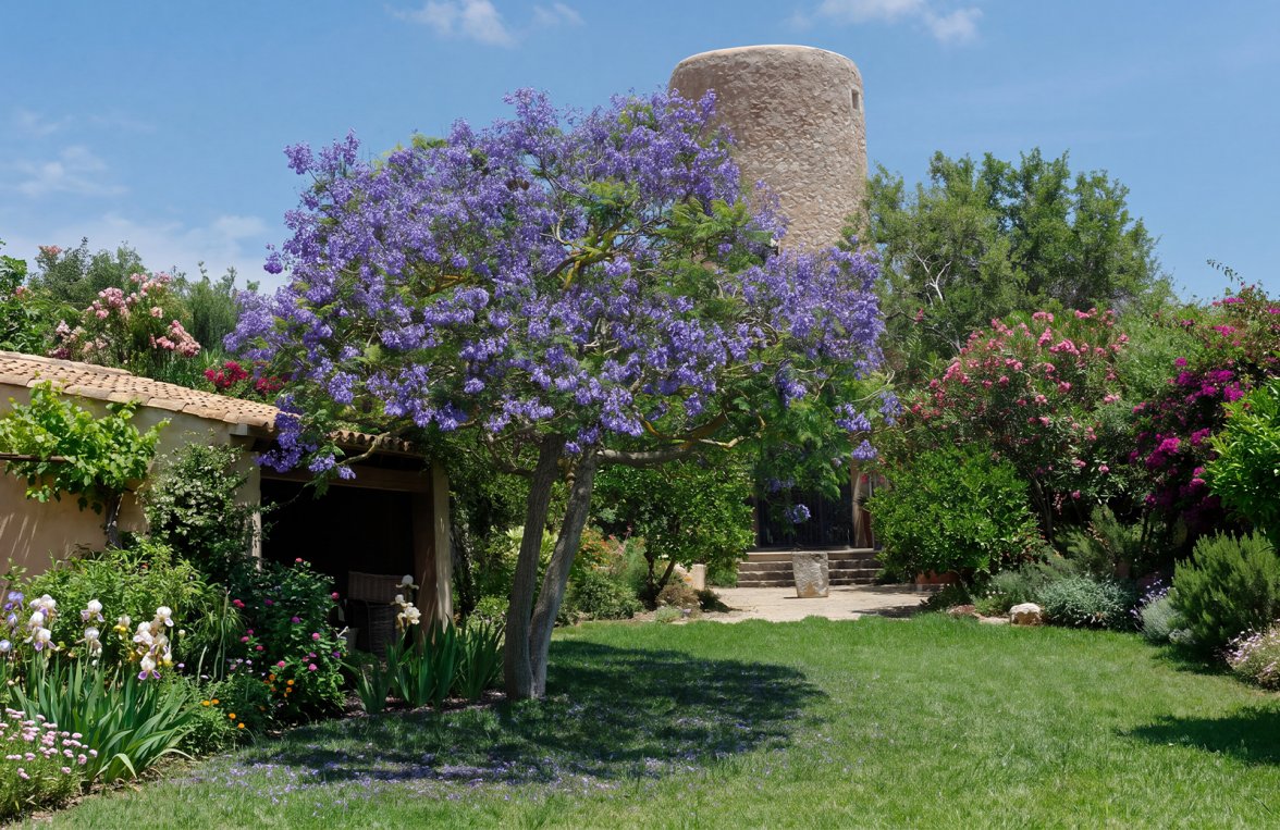 Property in 07208 Mallorca - Es Carritxó: Charming country house with historic mill and sea view near Es Carritxò - picture 3