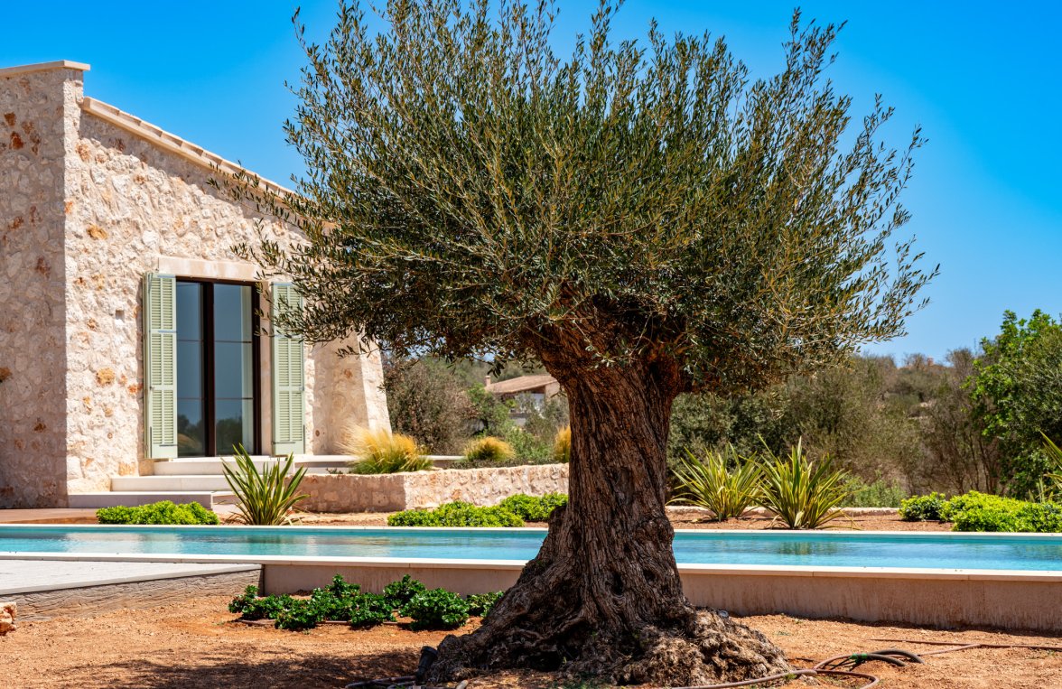 Property in 07650  Mallorca - Santanyí : Stylish architect-designed finca with infinity pool near Santanyí - picture 1
