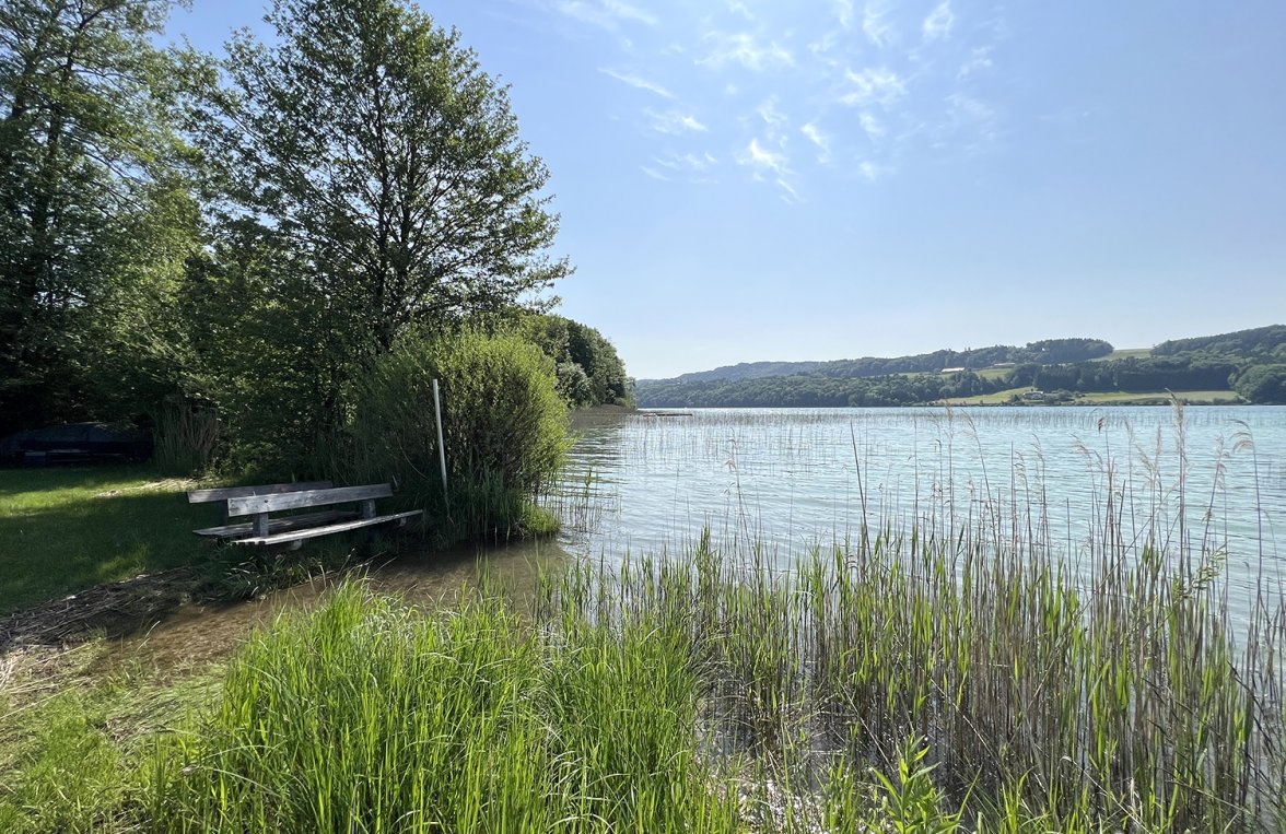 Immobilie in 5221 Salzburg - Mattsee - Lochen am See: DIE Gelegenheit! Seehütte mit Zugang zum Mattsee - bild 4