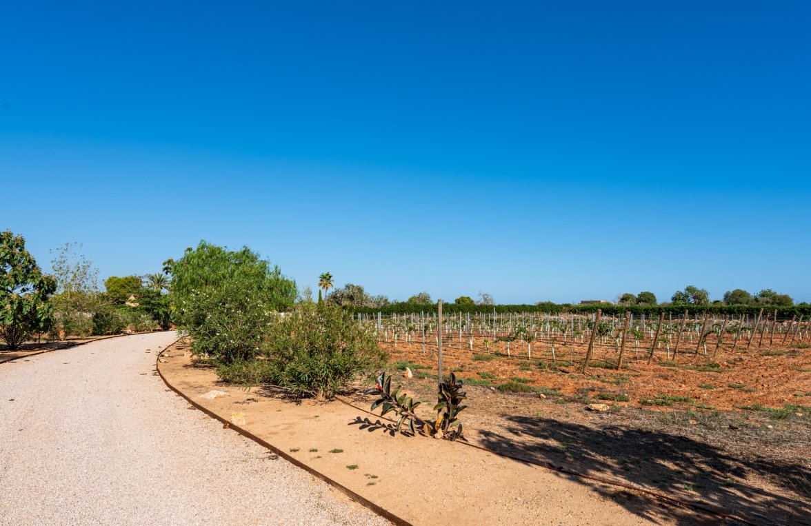 Immobilie in 07650  Mallorca - Santanyí: Mediterrane Finca in Strandnähe –  Ihr Rückzugsort für die ganze Familie - bild 8