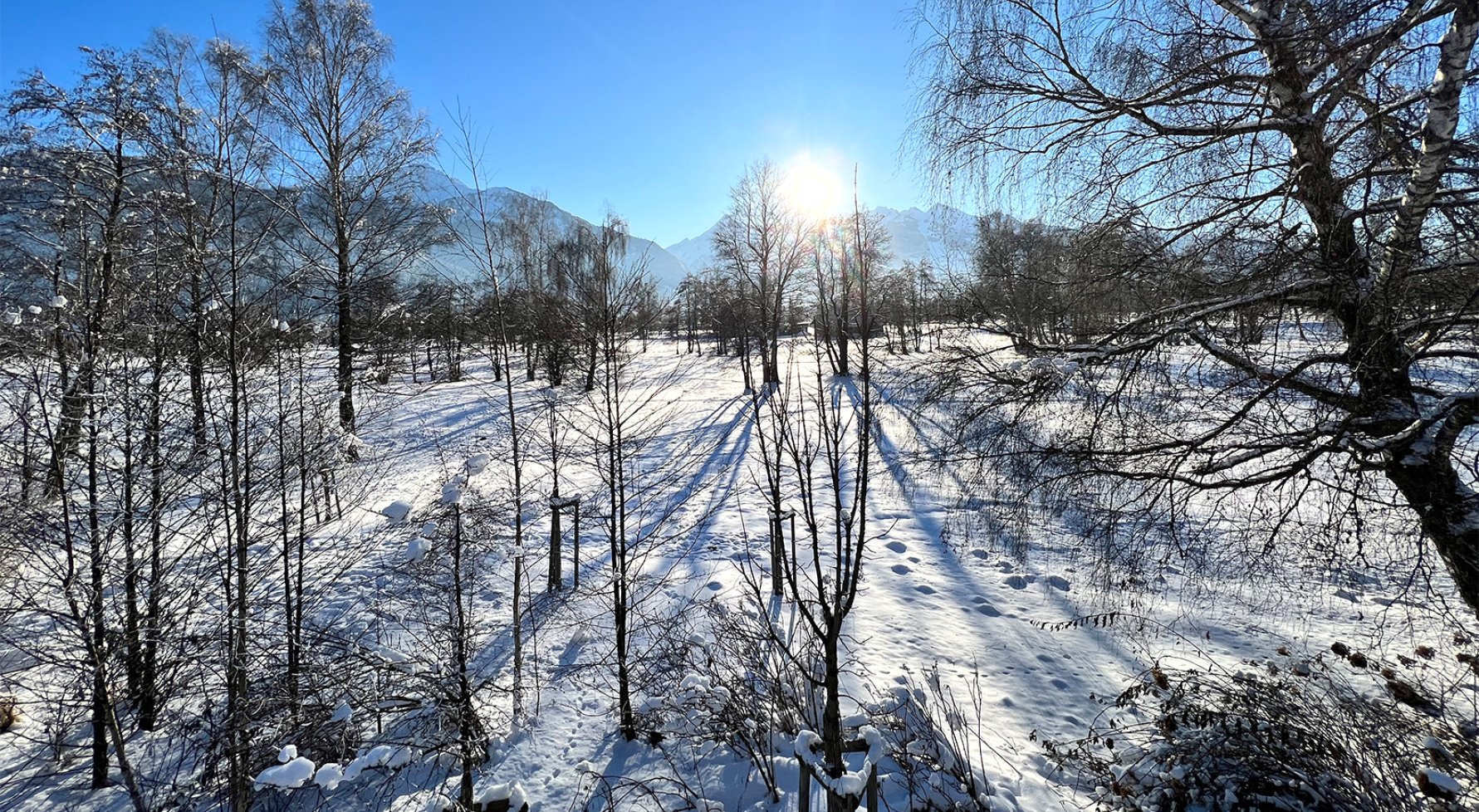 Immobilie in 5700 Salzburg - Zell am See: Baugrund mit ca. 1.709 m² direkt am Golfplatz mit Kitzsteinhorn-Panorama! - bild 1