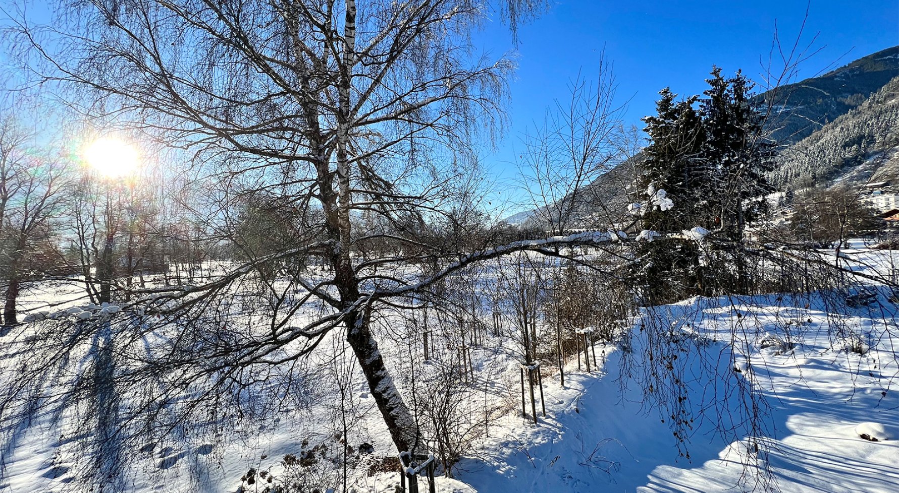Immobilie in 5700 Salzburg - Zell am See: Grundstück mit 1.600 m² direkt am Golfplatz von Zell am See! - bild 1