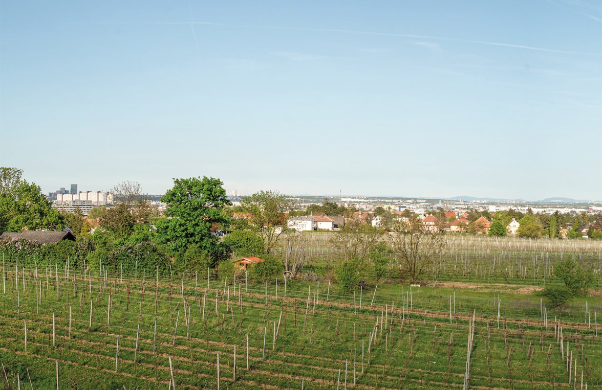Property in 2380 Vor den Toren Wiens - Perchtoldsdorf: A jewel at the gates of Vienna! Historic villa with garden paradise for visionarie - picture 2