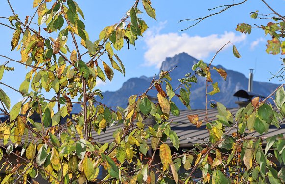 Immobilie in 5026 Salzburg - Aigen: 4-Zimmer Dachgeschosswohnung mit traumhaftem Untersbergblick in Aigen