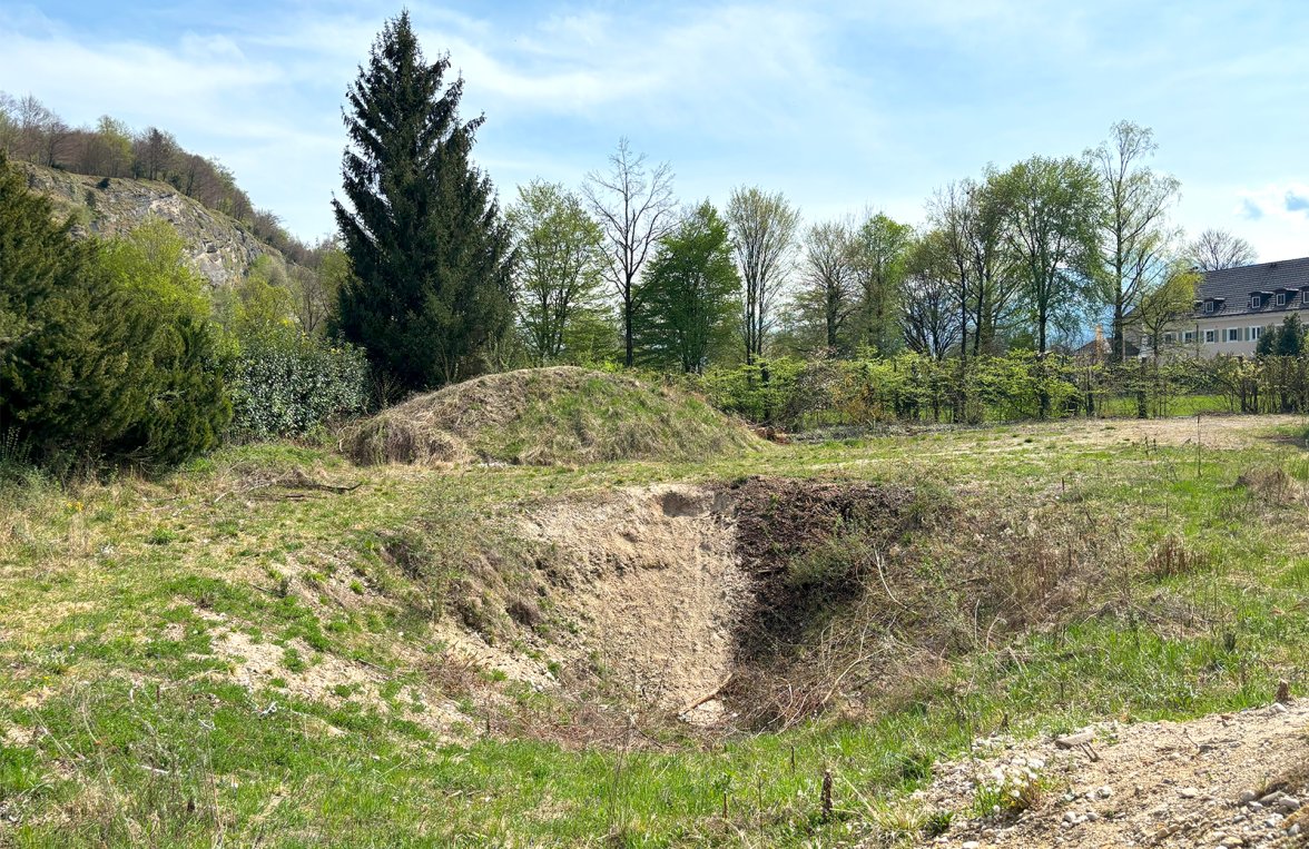 Immobilie in 5081 Salzburg - Anif: Exklusives Baugrundstück im Villenviertel am Hellbrunner Park - bild 3