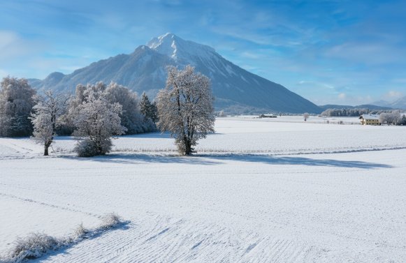 Property in 5081 Salzburg - Anif: Newly built gem with unobstructed view of the Untersberg and high-quality fittings
