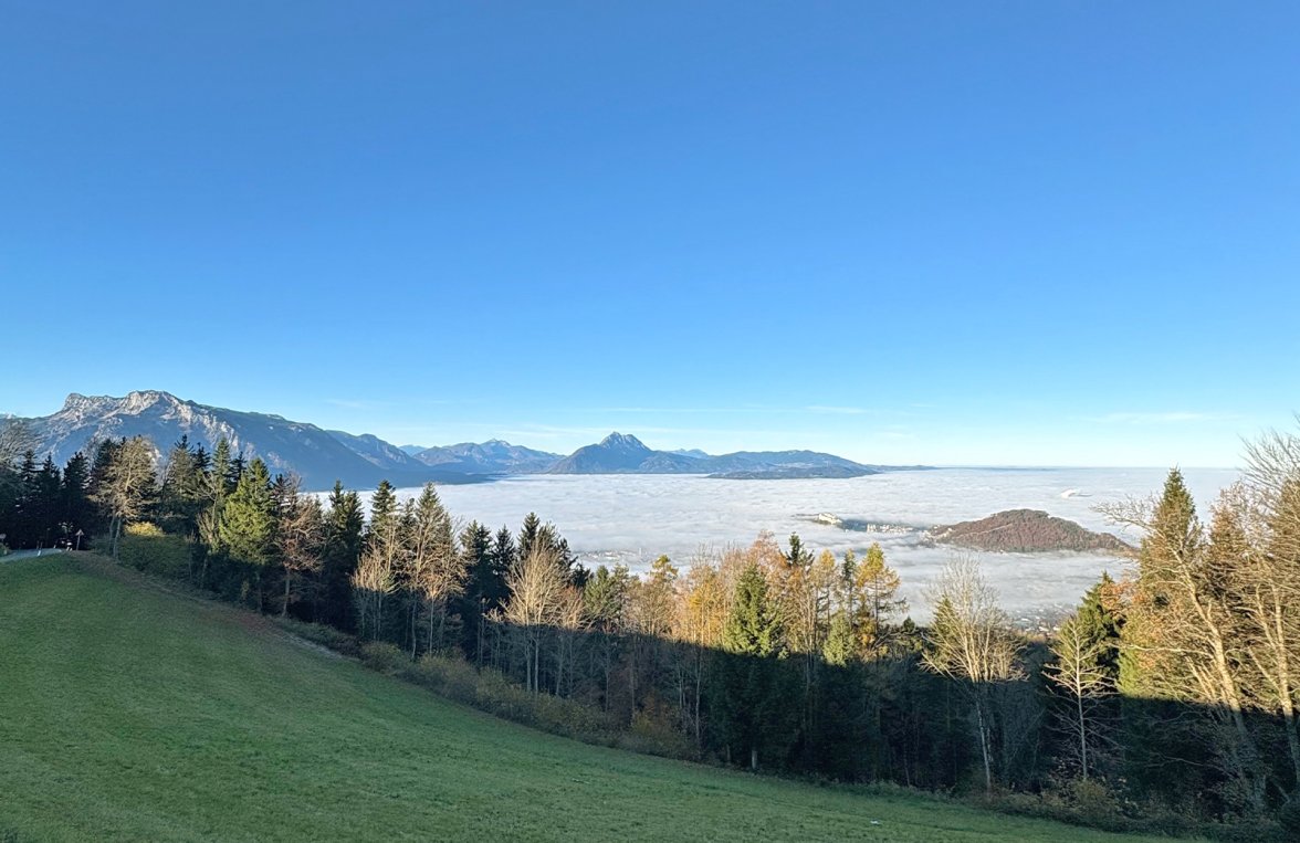 Property in 5026 Salzburg - Gaisberg: Your retreat in the countryside! 5-room apartment with garden on the Gaisberg - picture 12