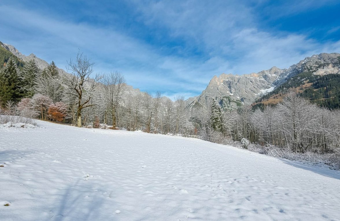 Immobilie in 5761 Salzburg - Maria Alm - Hinterthal: Naturverliebt? Grundstück in ruhiger, erhöhter Lage am Fuße des Hochkönigs - bild 6