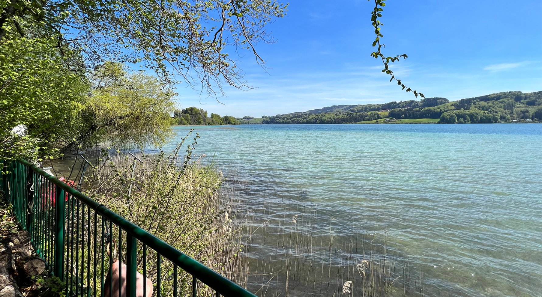 Immobilie in 5163 Mattsee: Sonniges Baugrundstück in Aug am Mattsee mit separatem Seezugang - bild 1