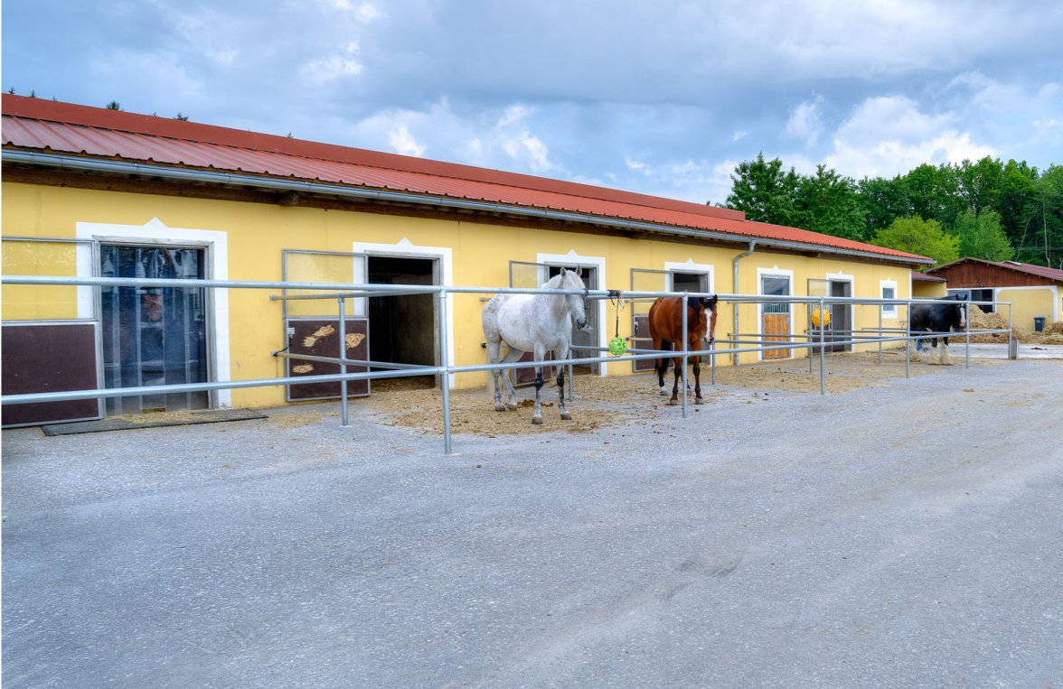 Immobilie in 5112 Salzburg - Lamprechtshausen: PROFESSIONELLE REITSPORTANLAGE VOR DEN TOREN SALZBURGS! - bild 7