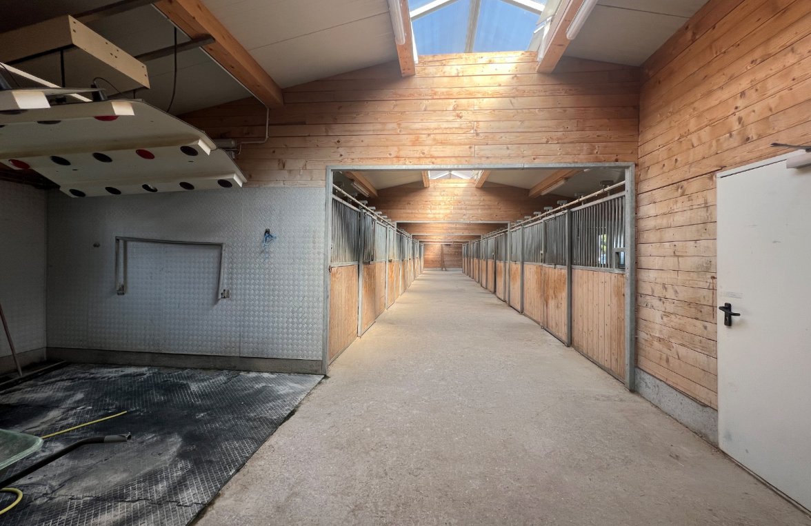 Property in 5112 Salzburg - Lamprechtshausen: PROFESSIONAL EQUESTRIAN CENTER AT THE GATES OF SALZBURG! - picture 6