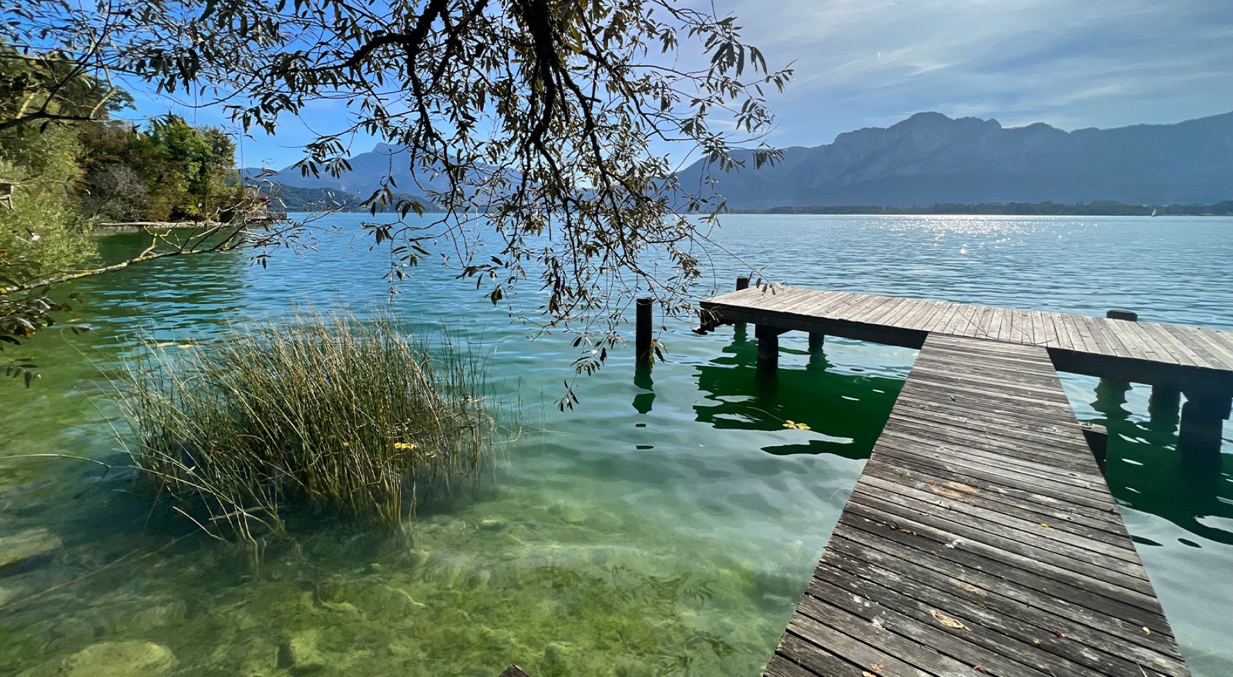 Property in 5310 Salzkammergut - Mondsee: Pole position Mondsee! A home with panoramic views and a bathing area with jetty - picture 1