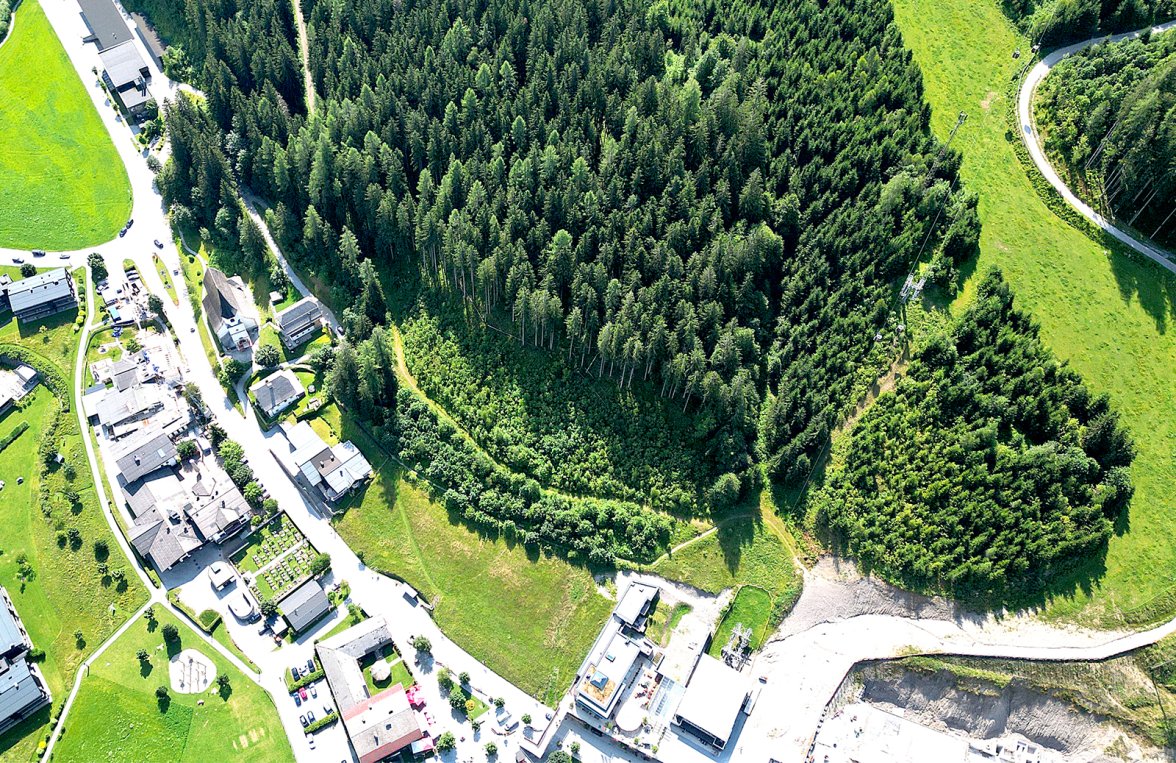 Nemovitosti v 5453 Salzburg - Pongau - Werfenweng: Projektové místo ve Werfenwengu na sjezdovce pro možnou výstavbu hotelu - obrázek 2