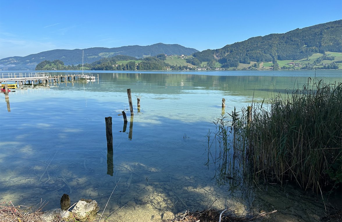 Immobilie in 5310 Salzkammergut - St. Lorenz am Mondsee: Salzkammergut-Villa mit eigenem 350 m² großen Badeplatz am schönen Mondsee - bild 3