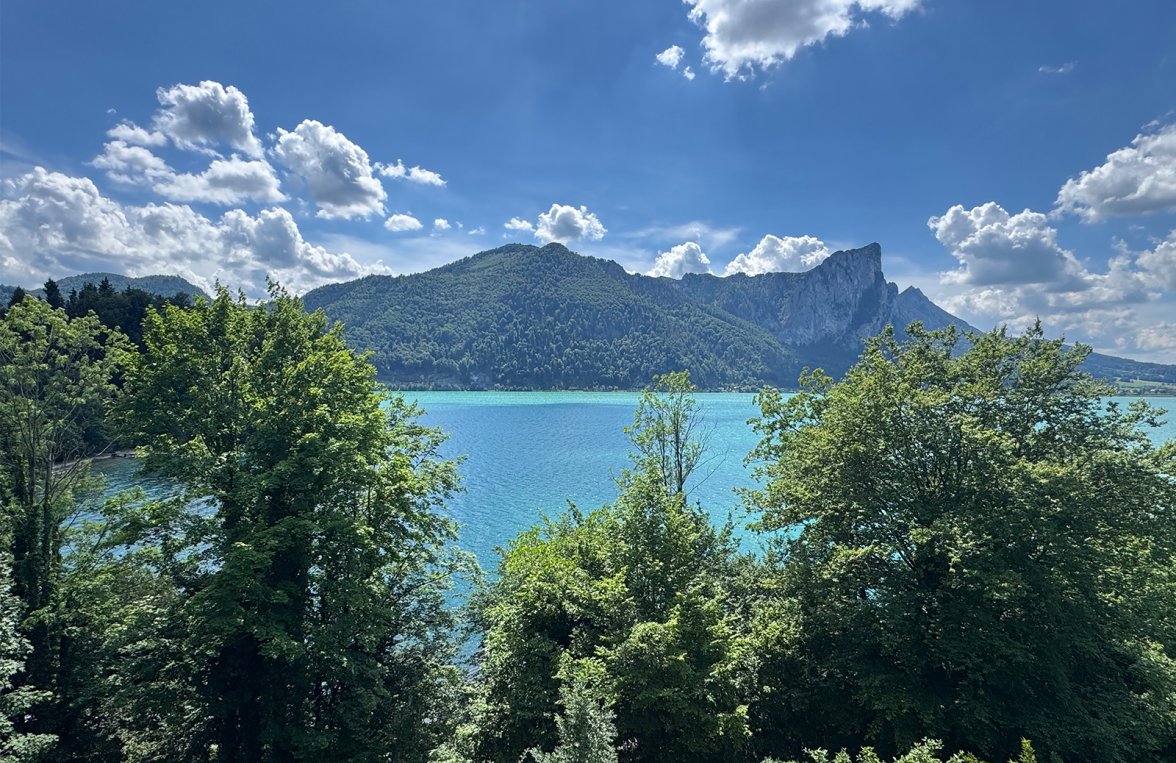 Immobilie in Keine Angabe Salzkammergut - Mondsee: Auf der Sonnenseite im Salzkammergut!  Seeliegenschaft in Alleinlage mit Seegrund - bild 1