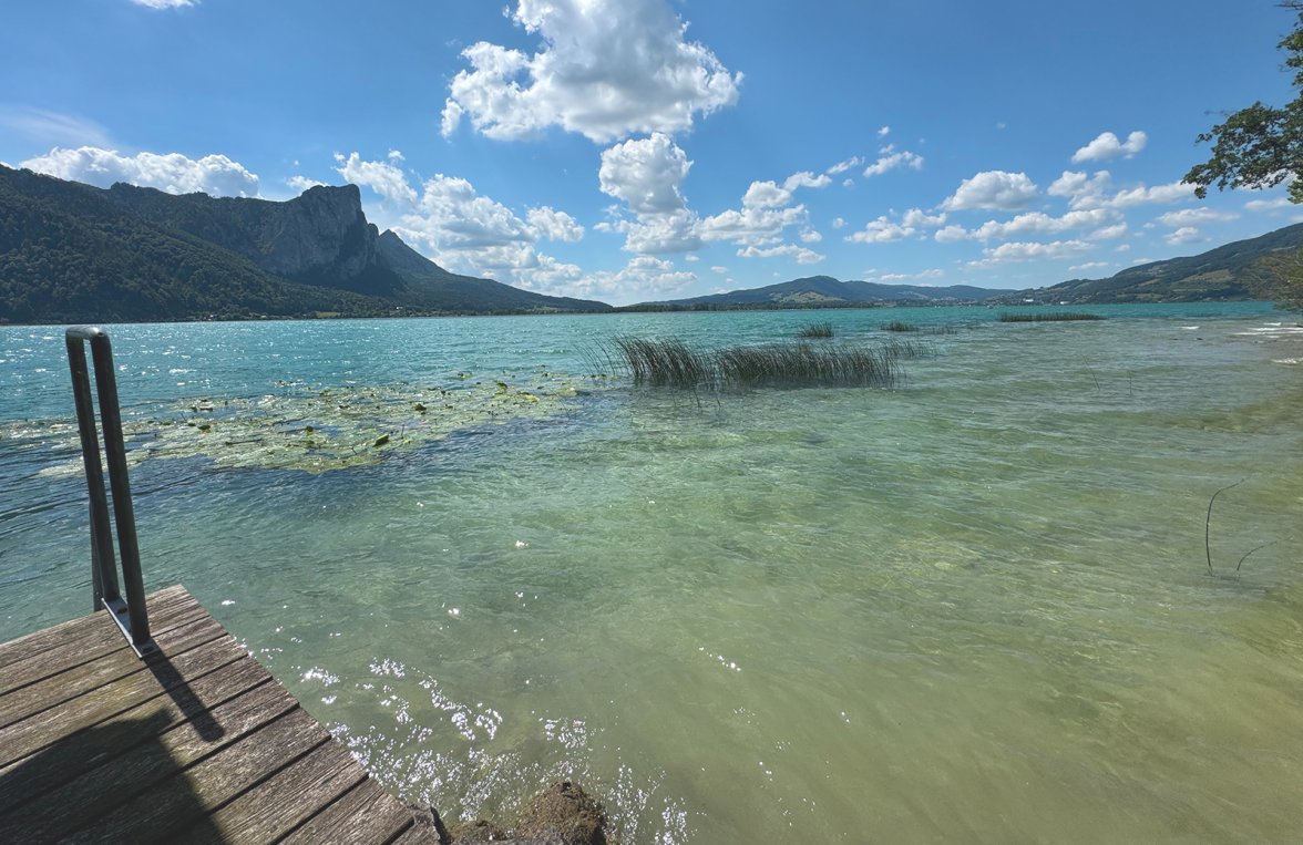 Immobilie in Keine Angabe Salzkammergut - Mondsee: Auf der Sonnenseite im Salzkammergut!  Seeliegenschaft in Alleinlage mit Seegrund - bild 4
