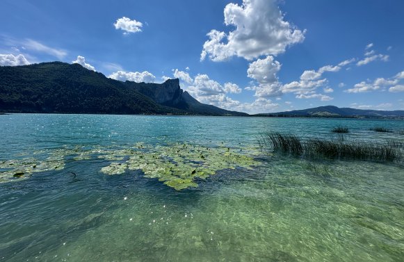 Immobilie in Keine Angabe Salzkammergut - Mondsee: Auf der Sonnenseite im Salzkammergut!  Seeliegenschaft in Alleinlage mit Seegrund